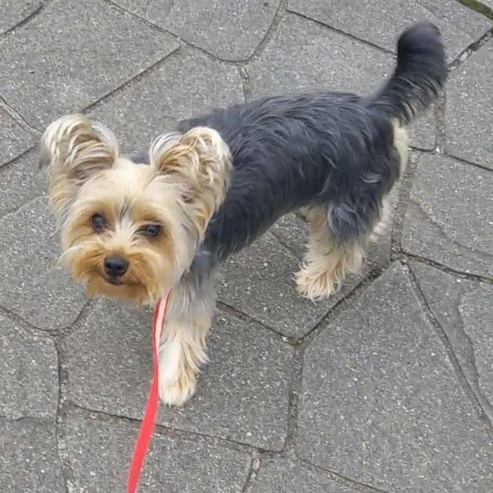 53b7d339 7a12 4a6b ba0e ca132f0d94db 1556704917340