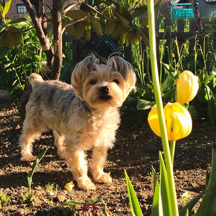 53b7f984 edb6 4c12 a098 737f5a8a1e74 1527418936865