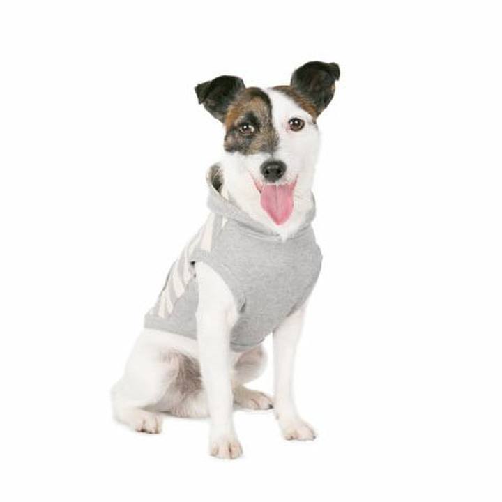 53b8054c d6bd 4635 9a34 656886564291 1523277692372