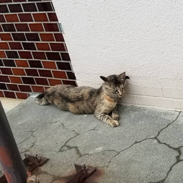 53b80ac3 c7ed 416b 8dbb 941d5366b321 1693066456072