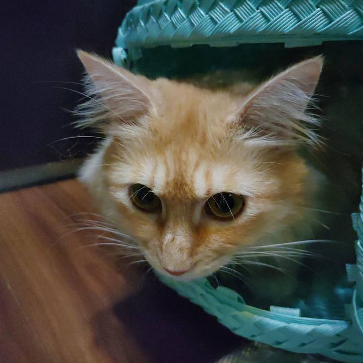 53b812b6 2158 47af b9c6 55aad99e5f99 1693346474235