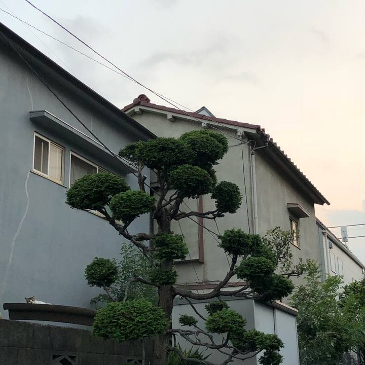 53b817f6 c991 4220 80c2 dedcfe386616 1533708258591