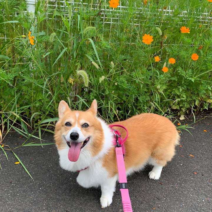 53b821a3 85da 44b7 955a e1a8bebb6c31 1725322852242