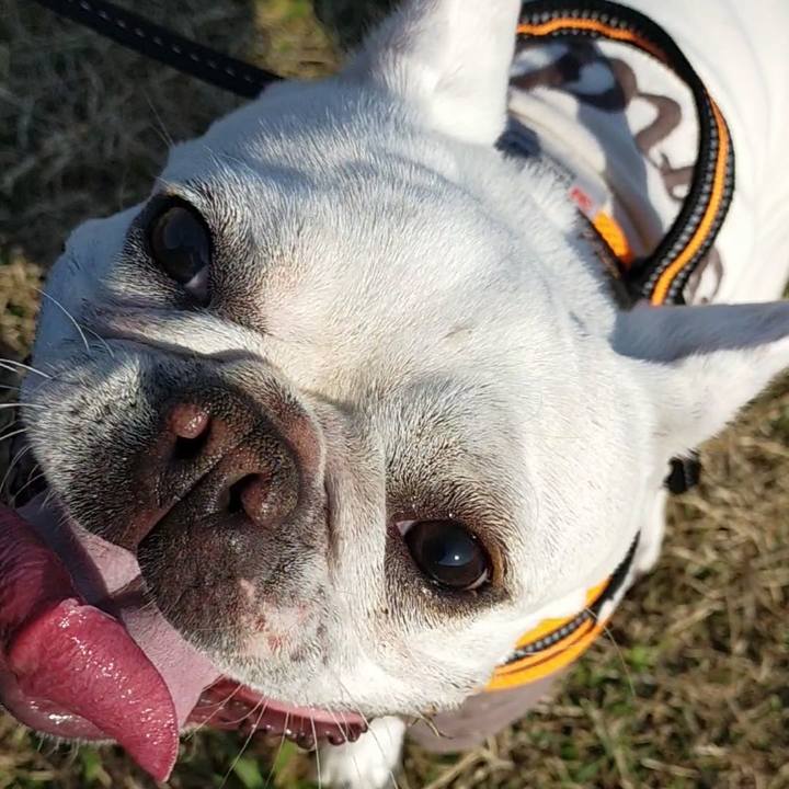 53b876f6 2a97 4c45 ab1a ae5cd0f1f275 1668904982349