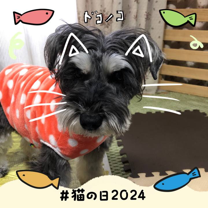 53b8852d 1dbe 4e52 baa6 1ae6542086e5 1708559470896