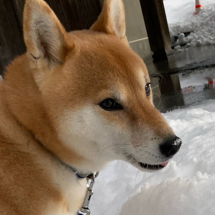 53b8910f e0b3 4fd7 bd91 9abb355fb243 1674974745488