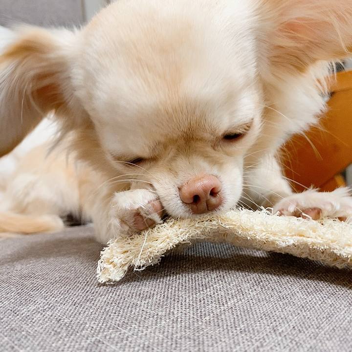 53b8cbd3 76c0 4afc 8114 f7768a5b082d 1610441195679