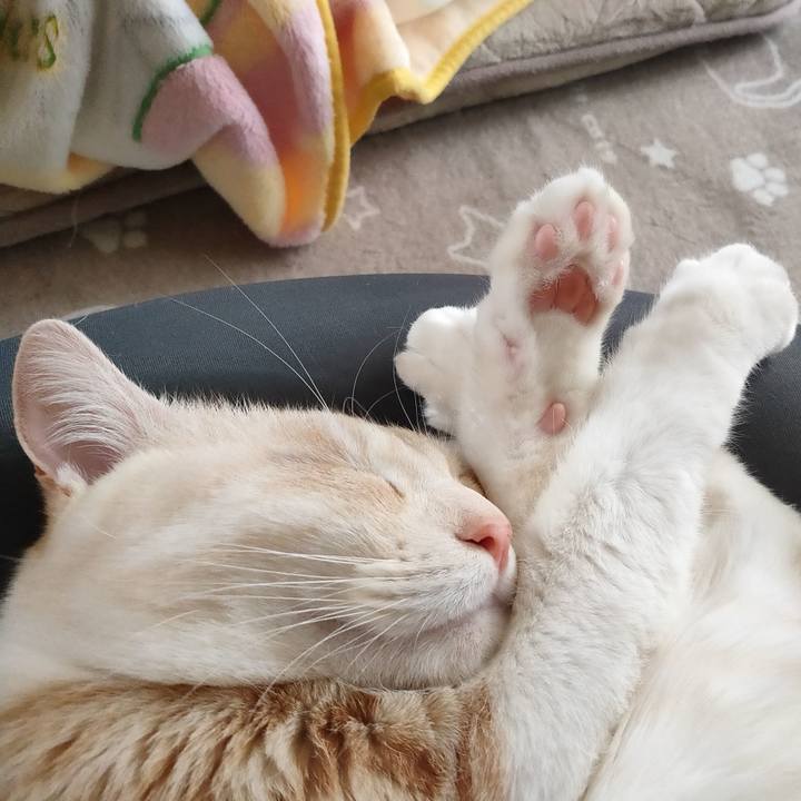 53b8f039 f303 49ae 8457 d374608396e0 1679639421372