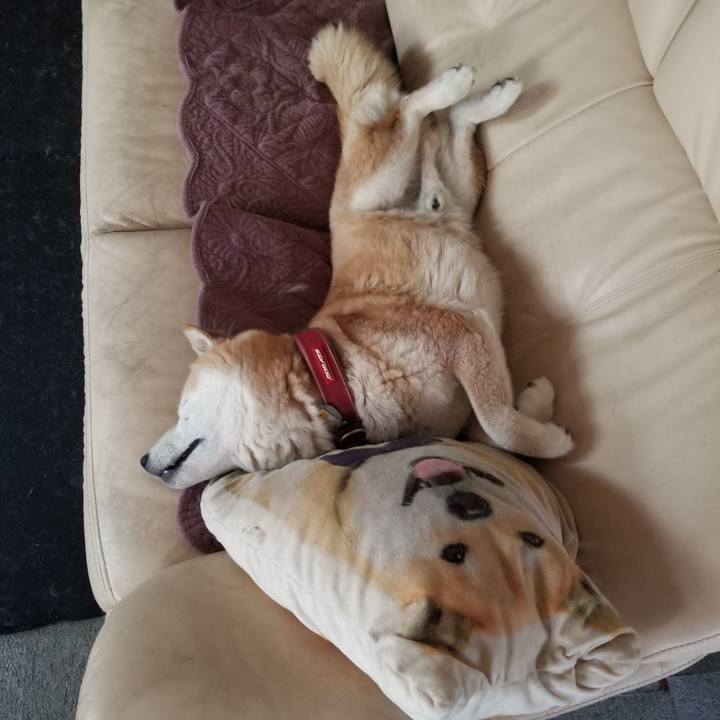 53b8f3f9 3f82 4bfa 9929 8453be74cddd 1751699855512