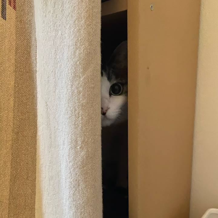 53b8f9b3 7c25 4938 a5d6 c3fa5d56d2bb 1636437921822