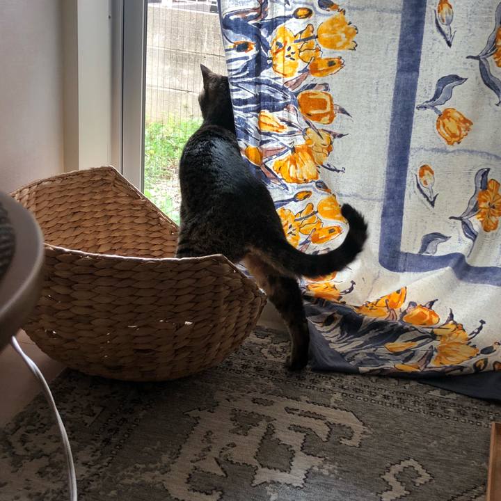 53b90d06 b376 4bc4 bab5 facc64dffe97 1522200015987