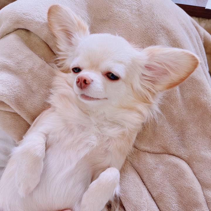 53b93928 e07b 442e a46a 8a7cb4ee0230 1678609271034