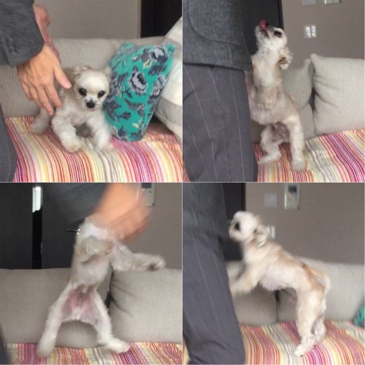 53b969ab 5389 4fc2 99aa eb9f389fae73 1545463356971