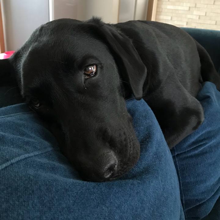 53b97430 10f6 4d46 9502 61871aecd73a 1525904499931