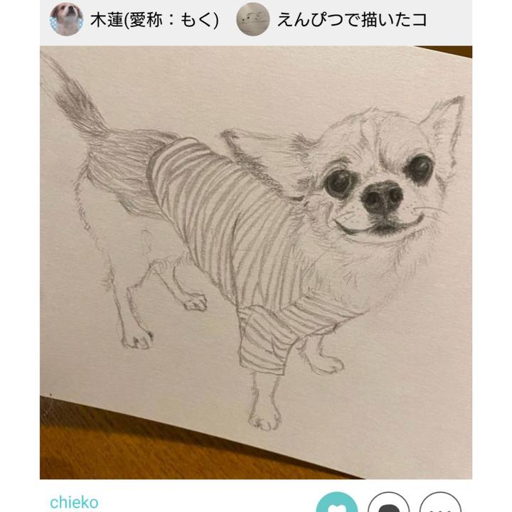 53b997ce d818 4afb 8117 95be7b918169 1669025322421