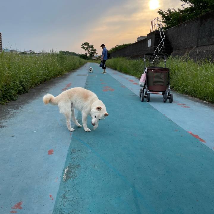 53b9991d 20c6 4662 9235 5e5bebf2f958 1652960398511