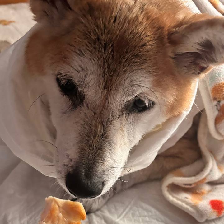 53b9a3f0 8601 4d61 82b7 475c00a30a29 1762998813510