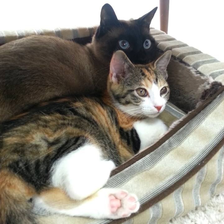 53b9f5c3 2080 4474 aae2 664602ad1390 1590825912587