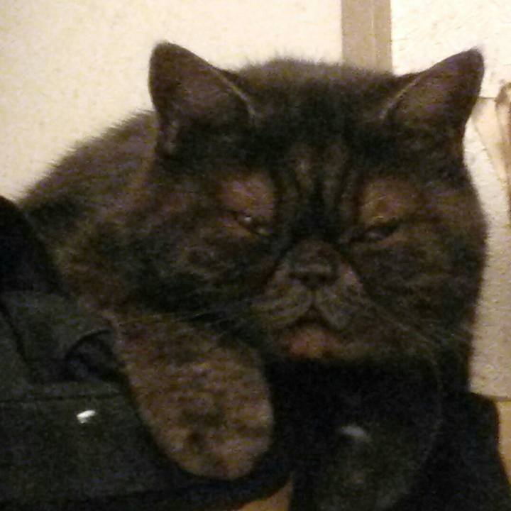 53ba1773 090c 44a5 ba9f 2be8959b09e5 1570347592991