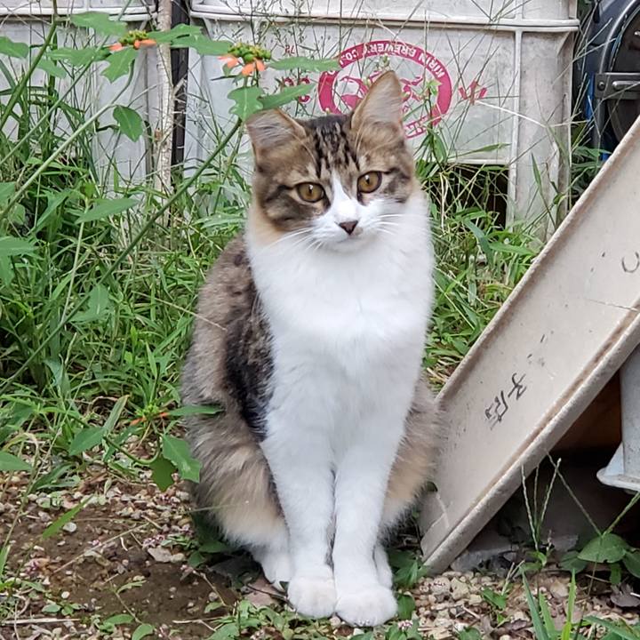 53ba306e 1d66 489e 9741 3546d2460f21 1697583173720