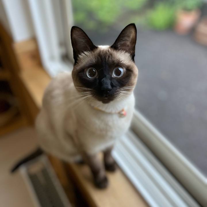 53ba5c59 c7f8 4336 bb19 d848a2f89a04 1720468566168