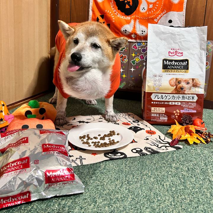 53ba7811 fec5 47e9 af6e 4495d269e10f 1760949891210