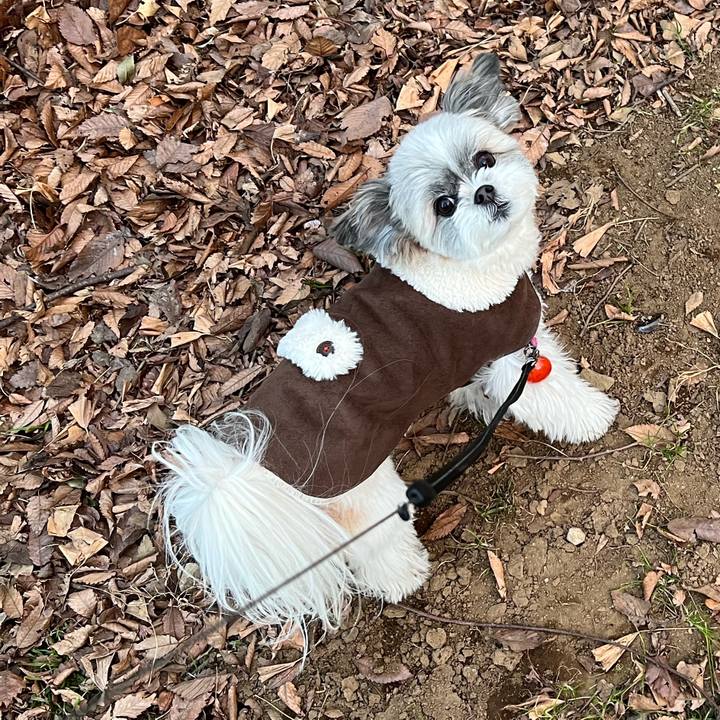 53ba85cb a98a 4870 9e81 56bcbc449f50 1644195457371