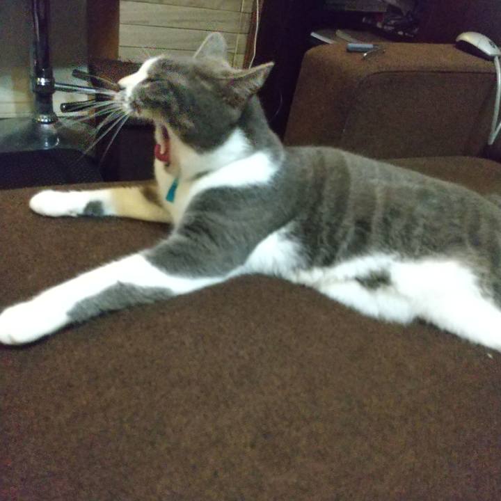 53baa94b 2051 49e4 8fa8 4c0eb7642b90 1633788668382