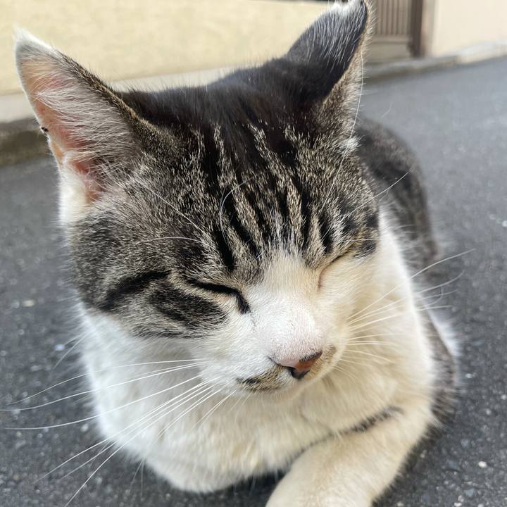 53baabb1 d40a 49f1 8c7e 502baa5ba66d 1615453560587