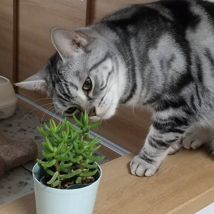 53bad099 b590 4a3c b187 2568283d7551 1652095455575