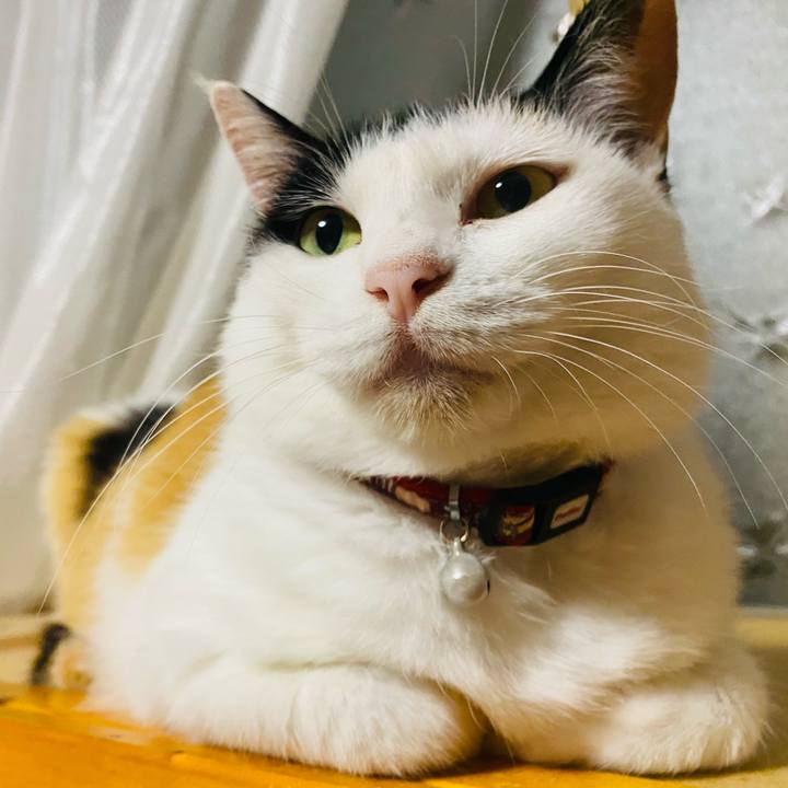 53bad498 853b 4854 b13a 812086f80a3b 1655928516190