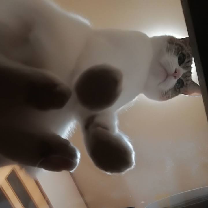 53bb0917 8482 4398 ada6 338aef898771 1518875931584