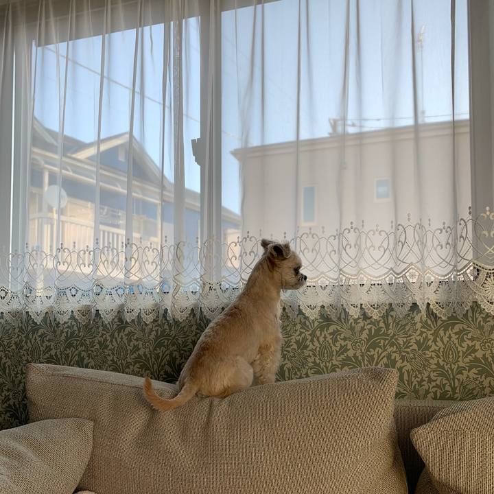 53bb36de 25ae 4d76 8086 014456455d5c 1612434939606