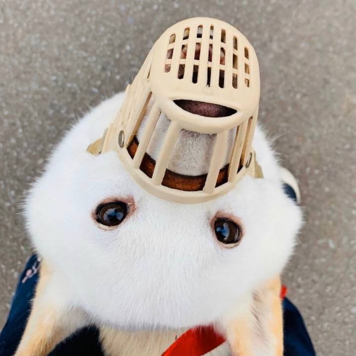 53bb3ef4 b7a2 4ea8 87e1 db9b3f43fa15 1599082381372