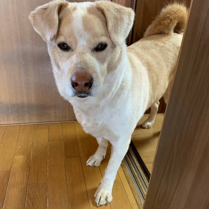 53bb9b3e 665e 4bf9 98c2 48cb523524c5 1579397804258