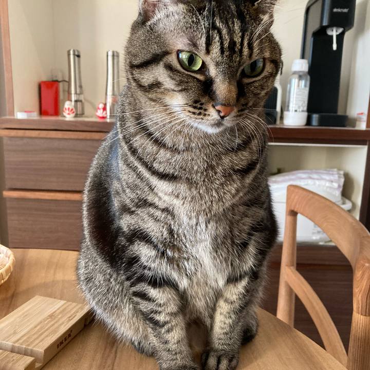 53bbaabf f9a7 44e7 9e41 8c77dcd2446c 1637878849747