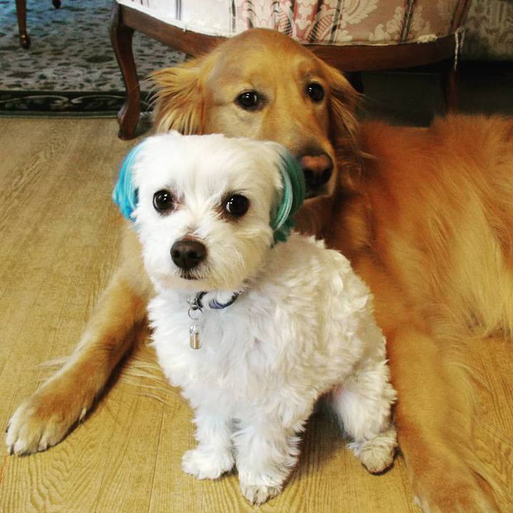 53bc707d 79e6 46f8 ad5a 1ccb7fa8cf95 1552294382248