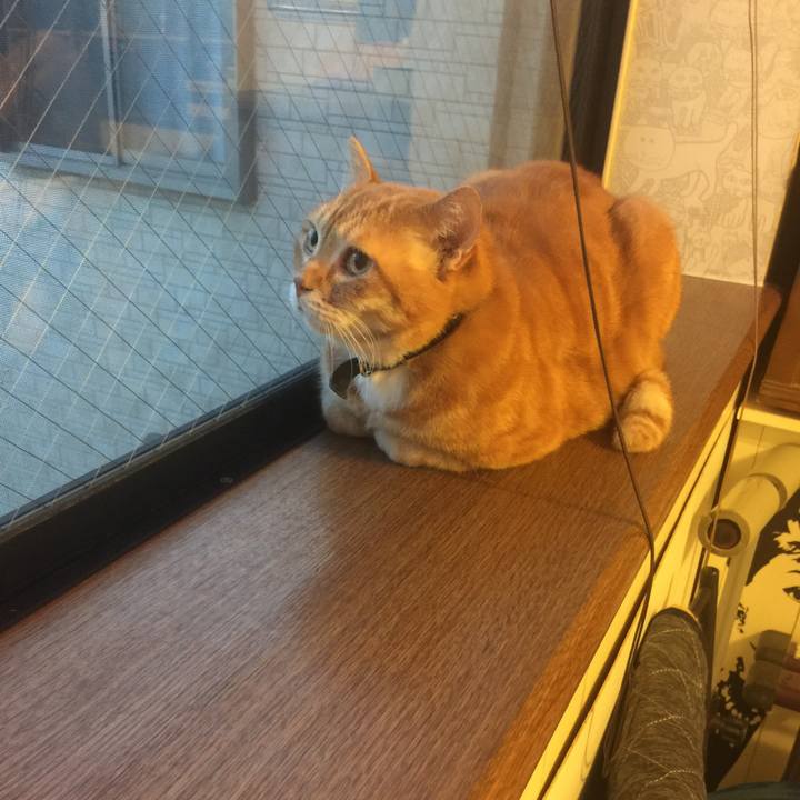 53bc7202 1eb6 4ac3 ac43 e402449856ae 1553159406024