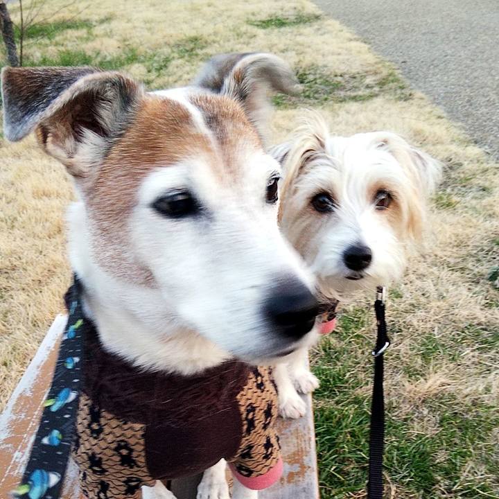 53bc78ef 35b0 4560 b5af be230a2582bc 1580641731900