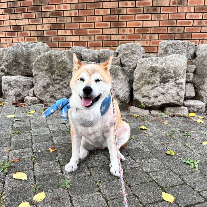 53bc9be1 a46b 4673 a14f dfb4300a2935 1755131373446