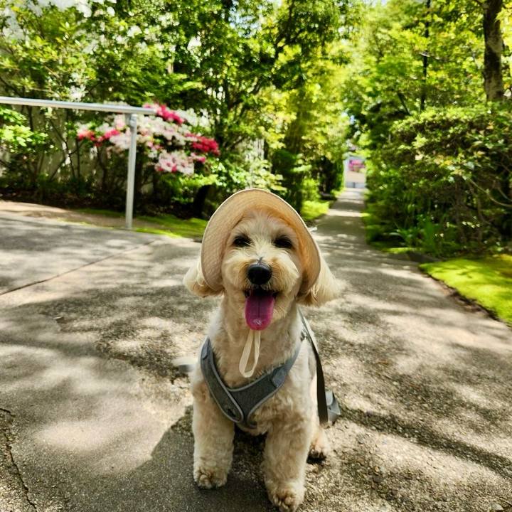 53bca2f7 cc4c 4f57 abe0 69189d0fee88 1776581341143