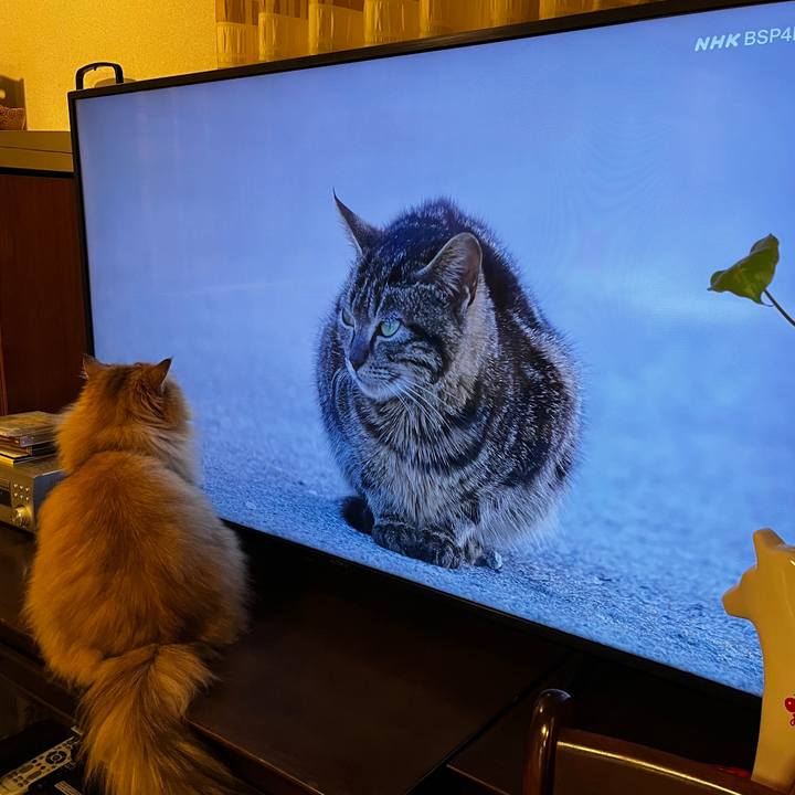 53bca682 f883 48e5 bda6 9367369d47ac 1765449995969