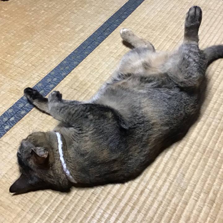 53bcadf1 858f 4586 b8a2 6216e11c7264 1751189656658