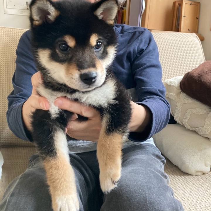 53bcb542 5431 4931 bed1 886e06c0a1ca 1775386204006