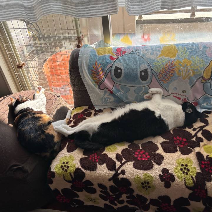 53bd49f9 ae69 4a1e 9c93 74f749600633 1765334647798