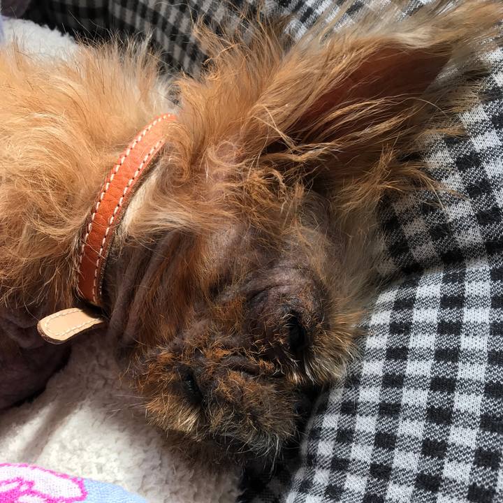 53bd503e fcdd 42cd 89ee eb2cb0e401f5 1540958456483