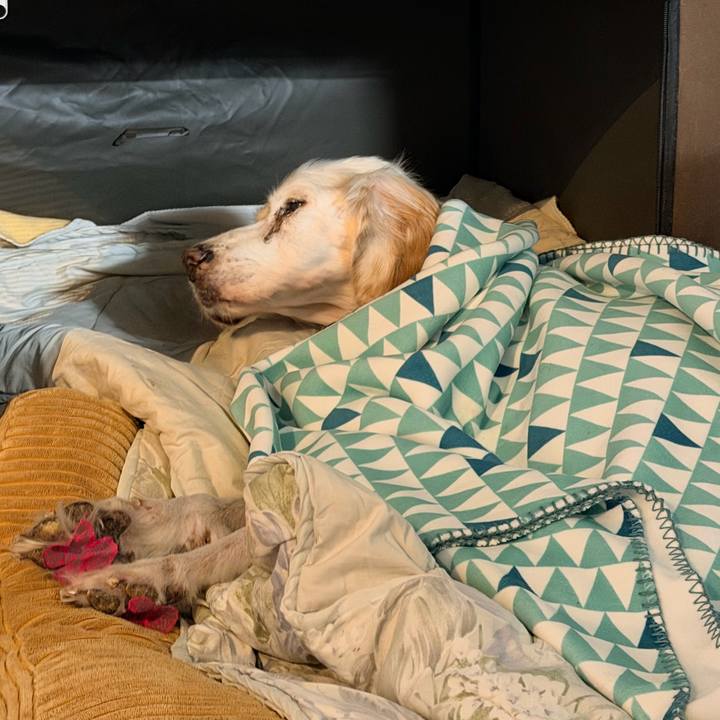 53bd81c1 1c40 4b4f 9593 03d370c01d49 1764373656577