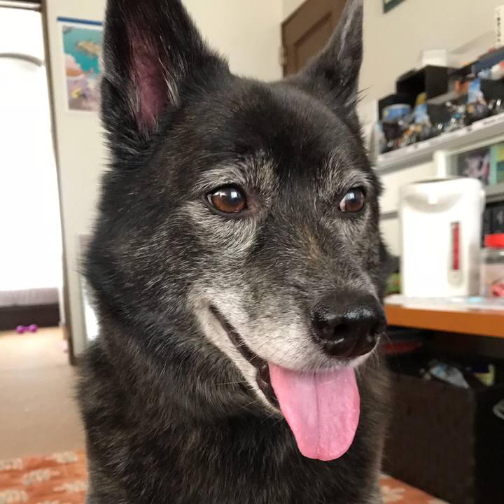 53bdc71f e395 4861 8eb2 d129885b6f28 1526551811108