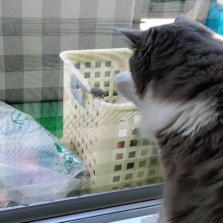 53bdfac0 4c53 4e8c aa37 28842f99a61c 1596358913098