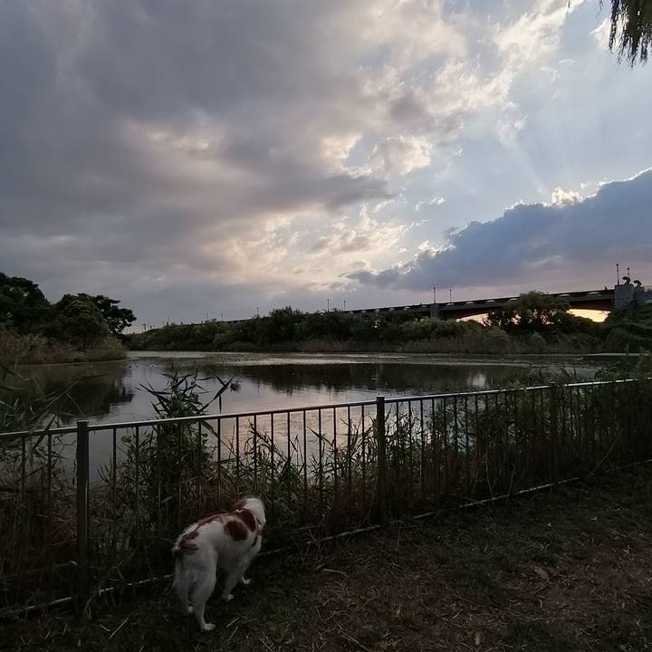 53bdfd7e 2e49 4959 9253 f6c23edf6d6c 1602667448153